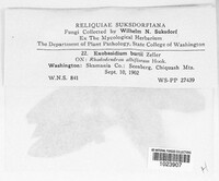 Image Associated With the Occurence